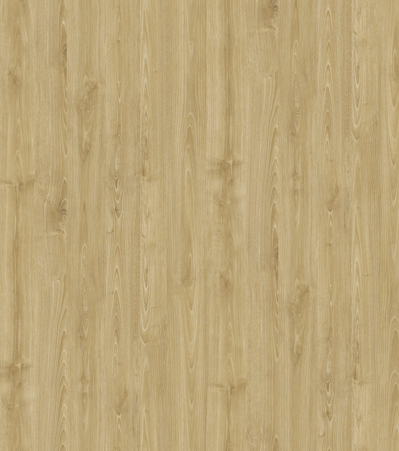 Elm