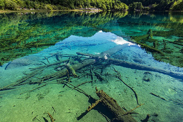 Las aplicaciones en expansión del agua purificada: una necesidad creciente en diversos sectores