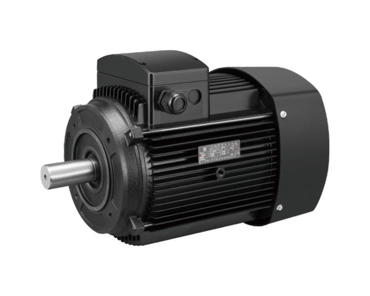 YE2 SERIES CDL STAINLESS STEEL VERTICAL MULTI-STAGE PUMP SPECIAL MOTOR