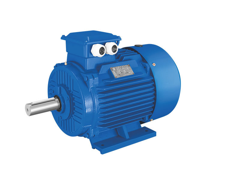 YD series Pole-Changing Three Phase Induction Motor