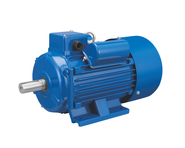 YL series Two-Value Capacitor Inductio N Motor