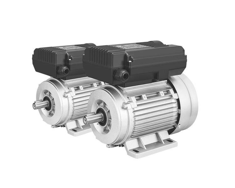 ML series Single, Three Phase Induction Motor