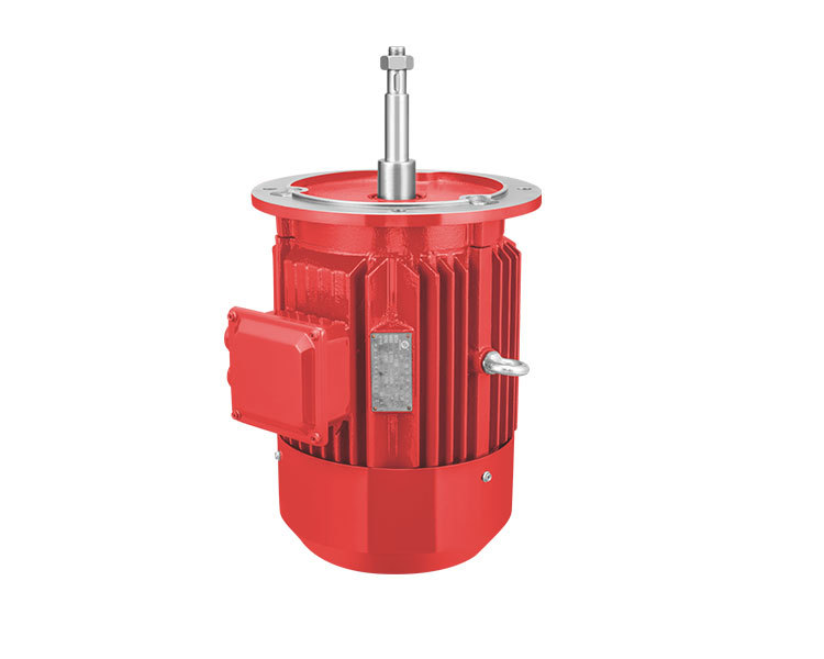 PIPELINE PUMP Single, Three-Phase Asynchronous Motor Dedicated Motor
