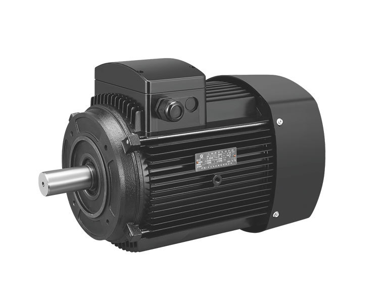 YE3 Series CDL Stainless Steel Vertical Multi-Stage Pump Special Motor