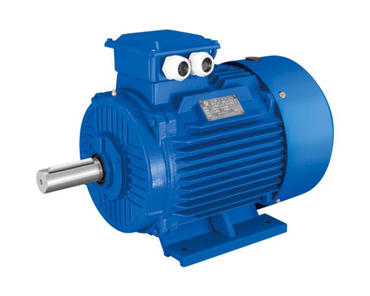 YD Series Pole-Changing Three Phase Induction Motor