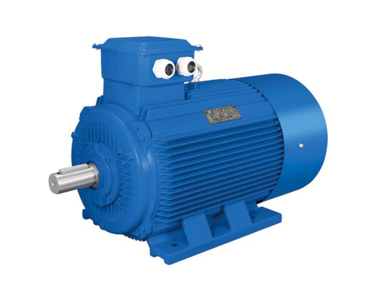 YE2 SERIES THREE PHASE INDUCTION MOTOR