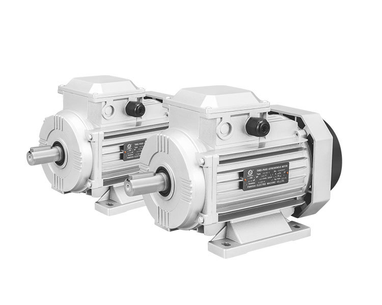 MS series Single, Three Phase Induction Motor