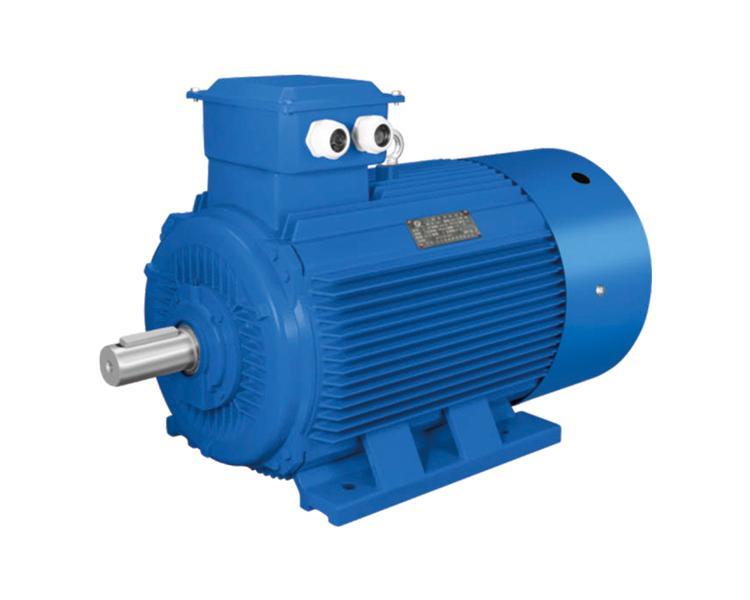 YE3 SERIES THREE PHASE INDUCTION MOTOR