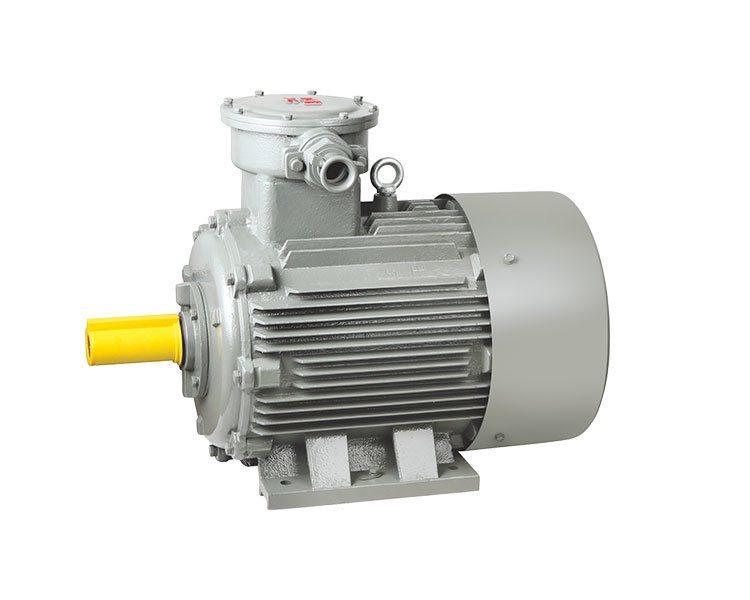 YB3 series Explosion-Proof Three-Phase Induction Motor