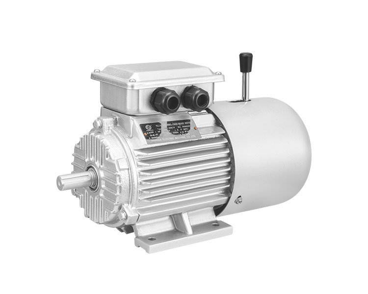 YEJ series AC Squirrel-Cage Brake Motor