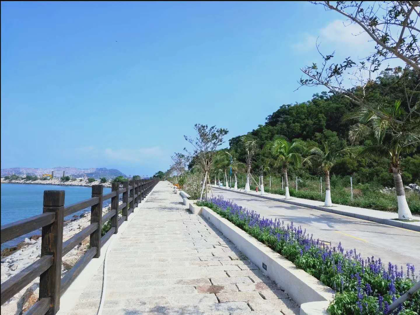 桂山島西岸