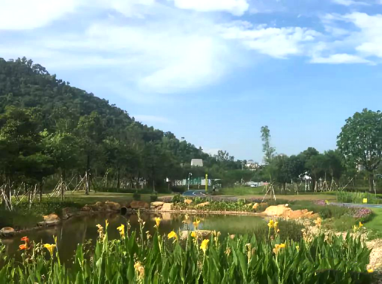 斗門(mén)珠峰國(guó)際創(chuàng)新中心市民公園