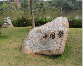 尖峰橋西兩側(cè)綠地