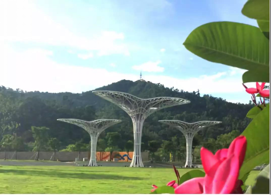 斗門(mén)珠峰國(guó)際創(chuàng)新中心市民公園