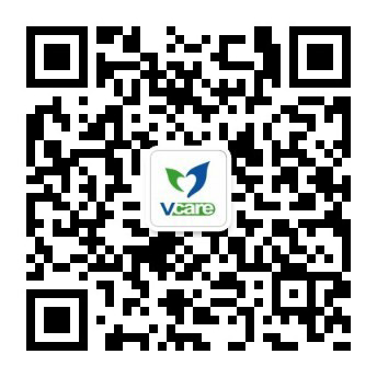 图片名称