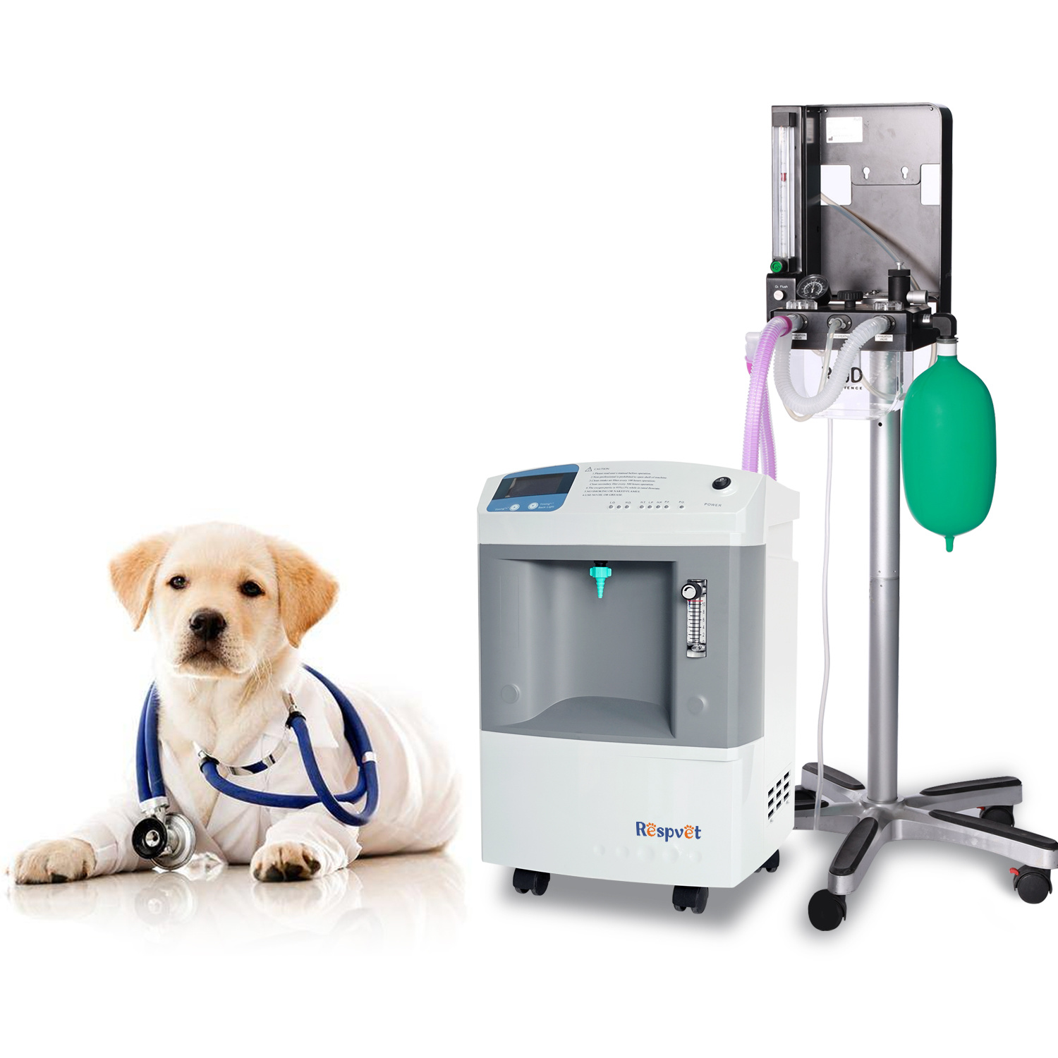 Veterinary 10L Oxygen Concentrator