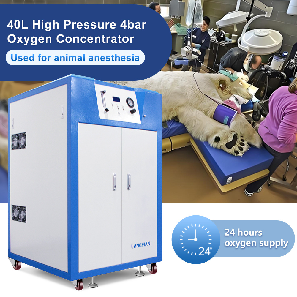 20L High-Flow 4bar Oxygen Concentrator for Veterinary Hospitals