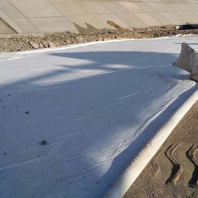 Tunnel geomembrane