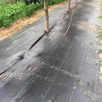 Black UV-proof weed-proof cloth