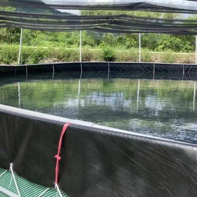 Why Geomembrane Liners are Essential for Effective Site Management