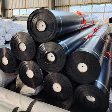 LDPE Geomembrane