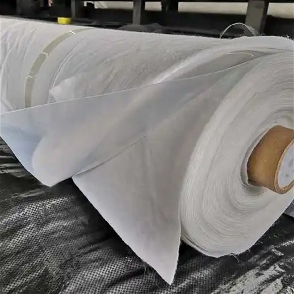 Composite geomembrane