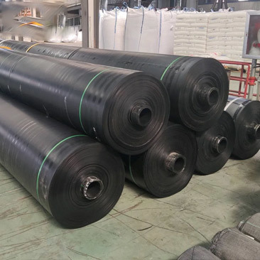 HDPE Geomembrane