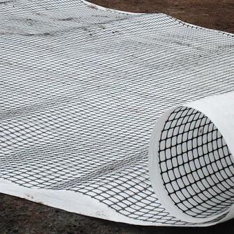 Composite geogrid