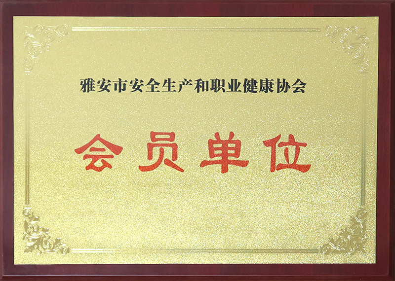 会员单位