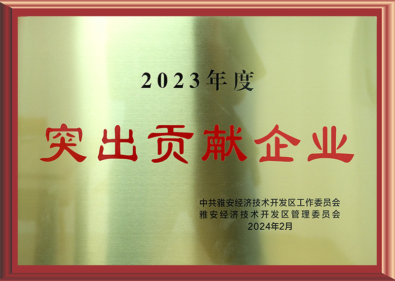 突出贡献企业