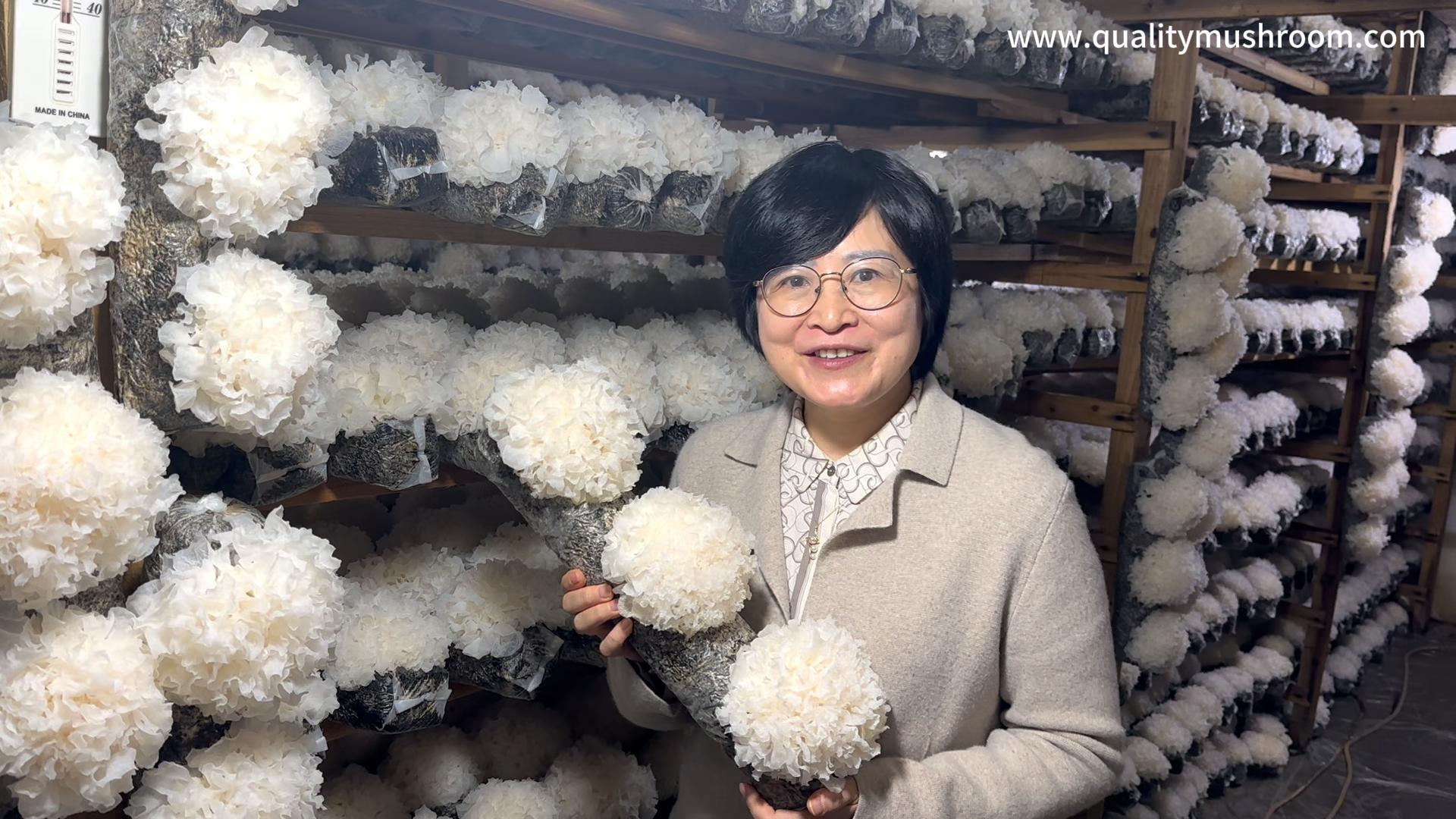 Why did we choose Gutian as our snow fungus production base