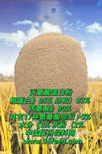 丙氨酸蛋白粉