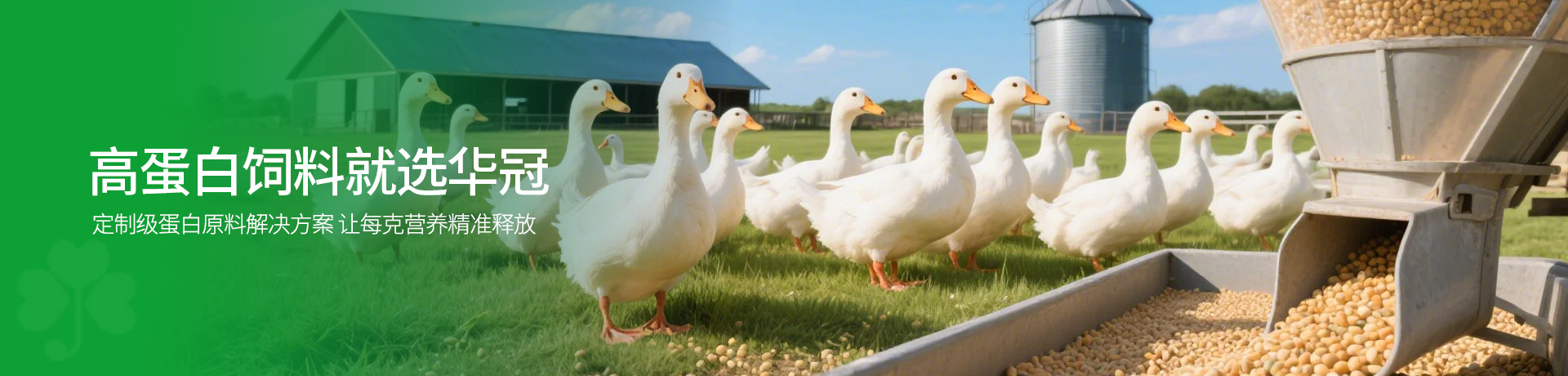 高蛋白飼料就選華冠