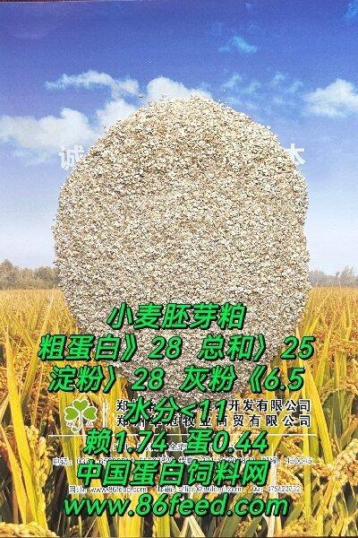 小麥胚芽粕
