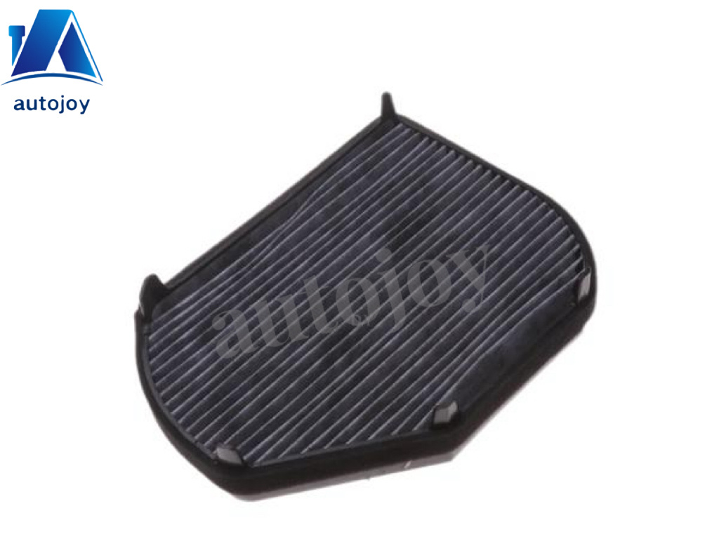 Cabin Filter 2028300018