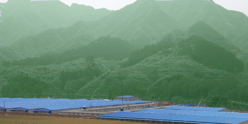 生产基地 生产基地