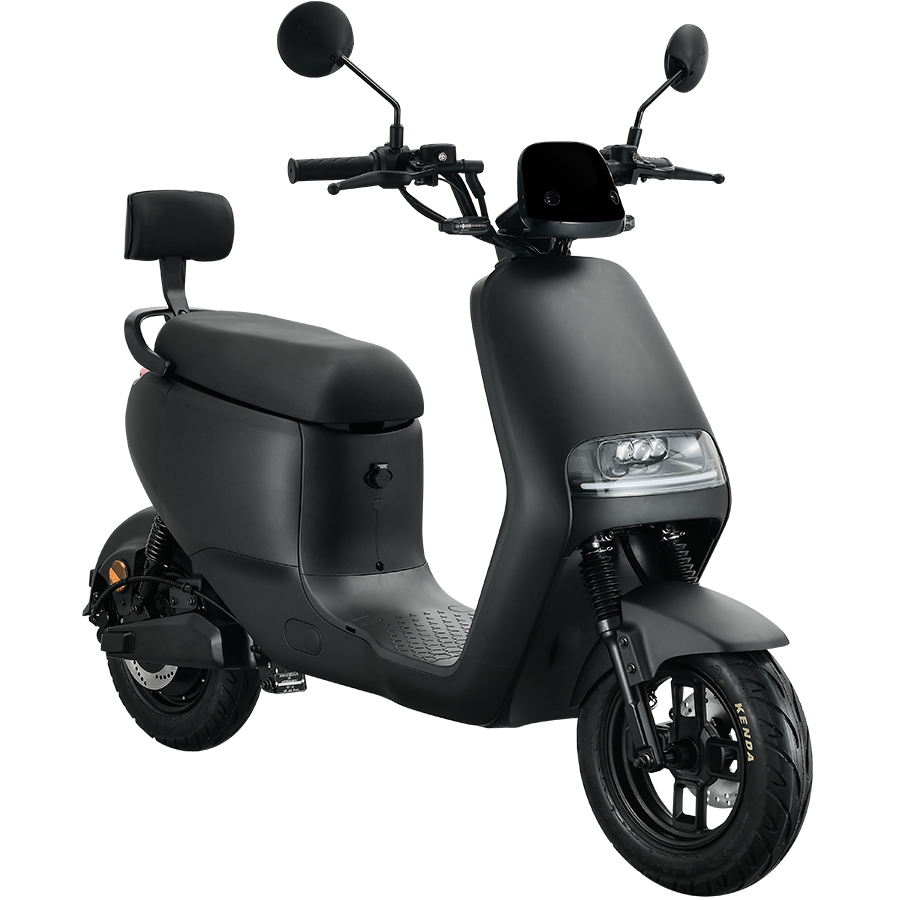 LHG Backrest