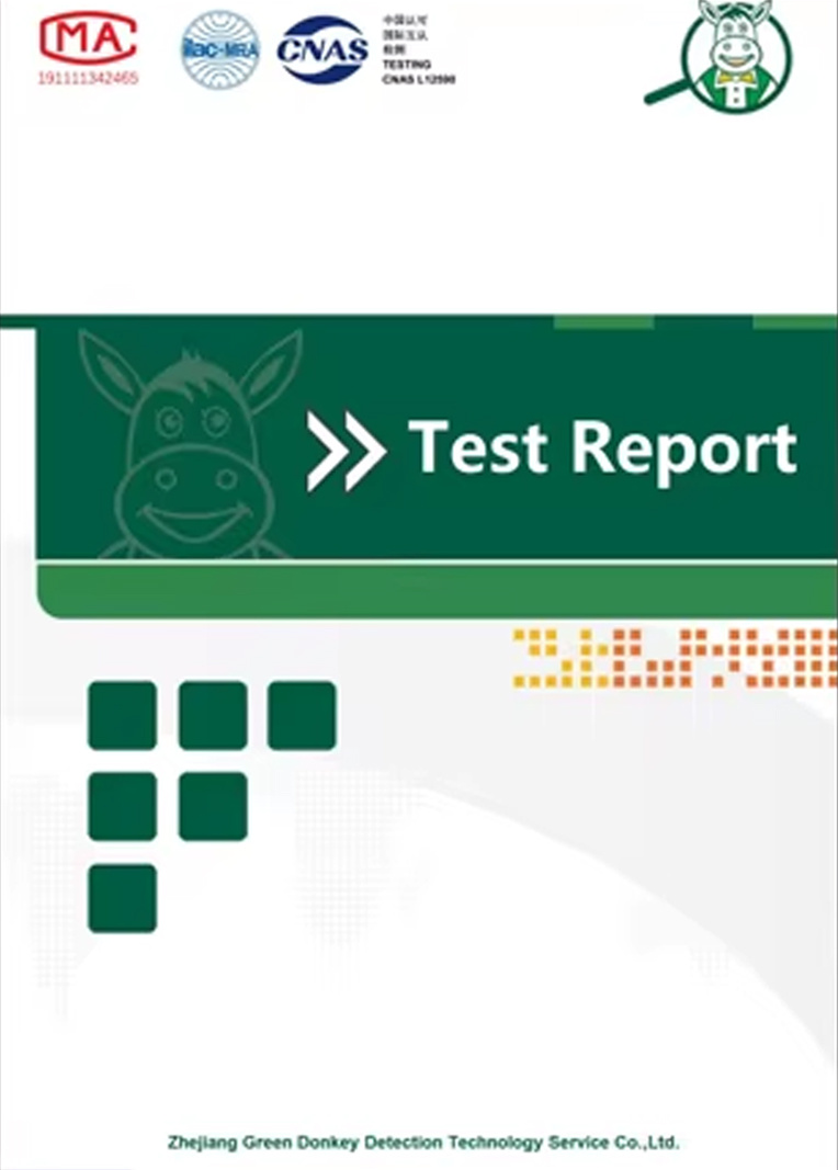 Test Report