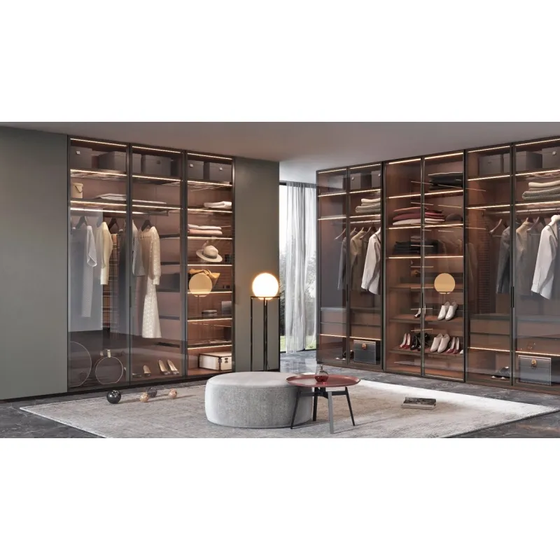 Free Design Manufacturer Walk in Wardrobe Closet Customized Make Glass Door Bedroom Modern Closet