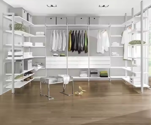 Cabinet Modern Design Closet Luxury Style Different Style Customized Walk in Closet