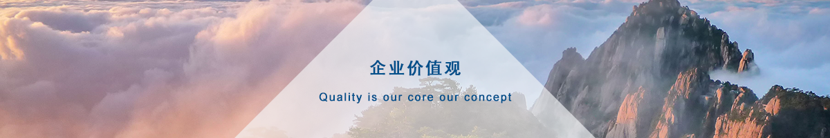價(jià)值觀與原則
