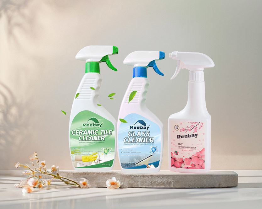 Bathroom Cleaning Series