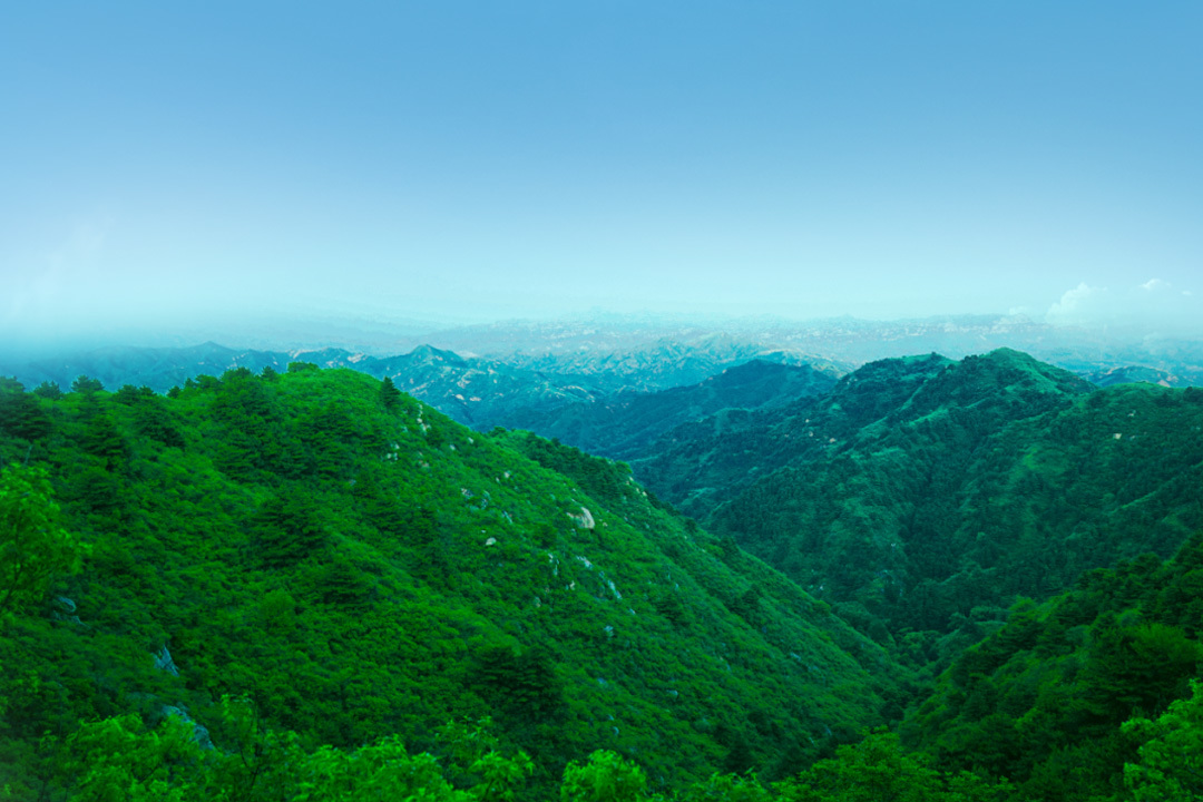 旅游