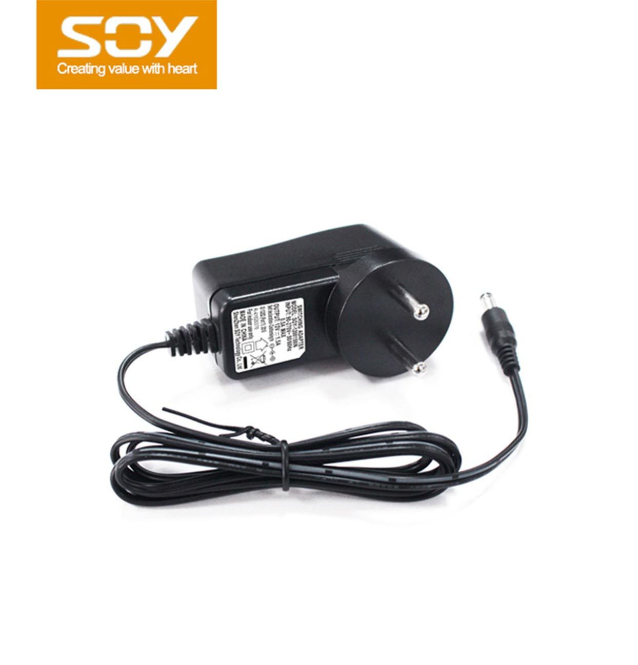 12V1A印度规电源适配器