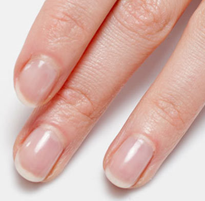 fingernail