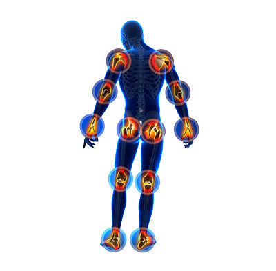 Skeleton