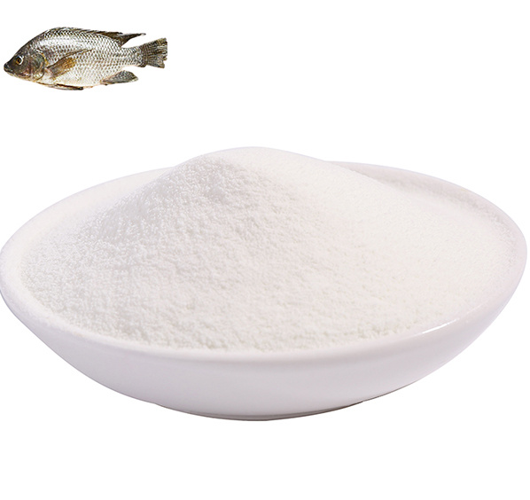 Fish collagen