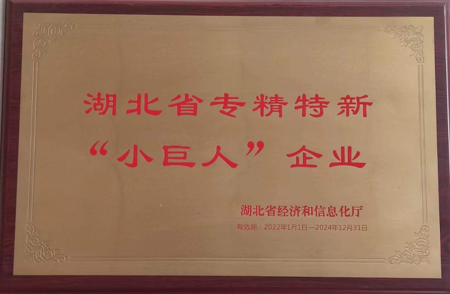 湖北省级专精特新