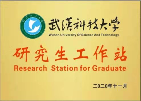 武汉科技大学研究生工作站