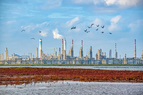 Petrochemical Petrochemical